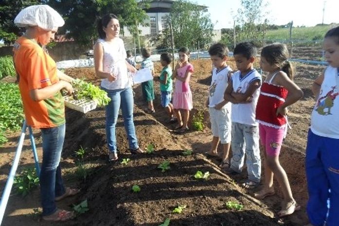 Alunos colhem alimentos e pegam peixes em projeto