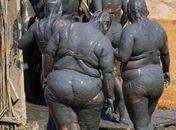 Gorda ao molho pardo