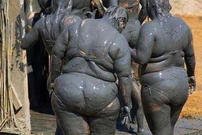 Gorda ao molho pardo