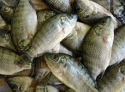Joaquim Beltrão consegue R$ 1 milhão 658 mil  para produção de pescado em Alagoas