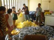 Prefeito faz entrega de peixes para todos os povoados de Maragogi