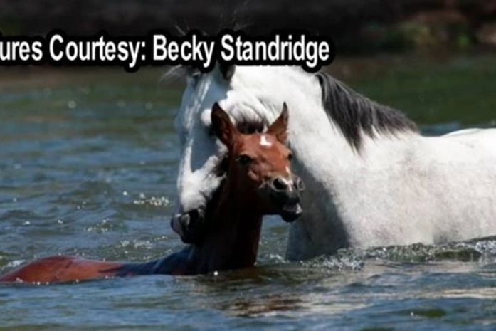 Flagra foi feito pela americana Becky Standridge.