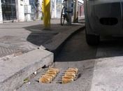 Torradeira de mendigo