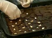 Aprenda a preparar um delicioso brownie da Amazônia