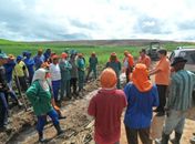 Trabalhadores em canavial