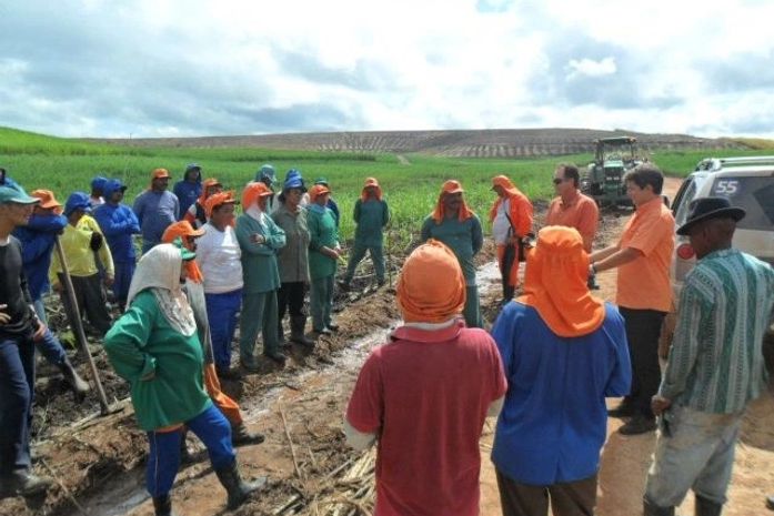 Trabalhadores em canavial