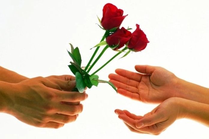 Drogas:Ajude quem voce ama a ser livre