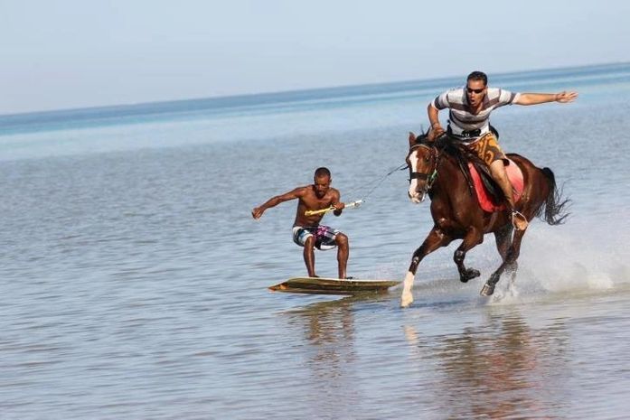 Novo esporte