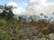 Incêndio em União dos Palmares