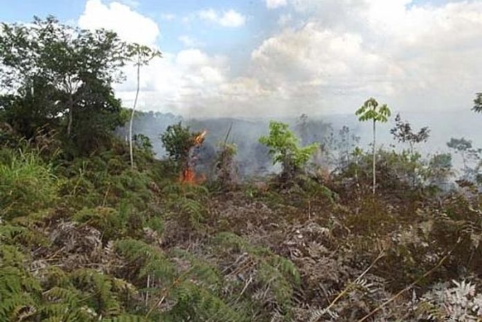 Incêndio em União dos Palmares