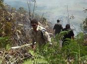 Incêndio em União dos Palmares