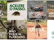 Prêmio Octávio Brandão: trabalhos devem ser inscritos até sábado