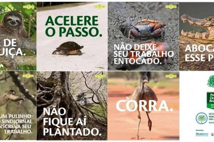 Prêmio Octávio Brandão: trabalhos devem ser inscritos até sábado