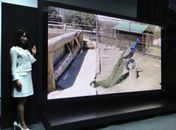 TV de 145 polegadas com 16 vezes mais definição é apresentada