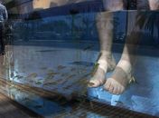 Peixe faz o trabalho de pedicure em spa na Espanha