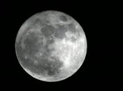 Noite deste sábado terá a lua mais brilhante do ano