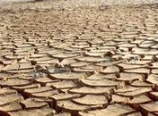 Governo prepara pacote de R$ 2,7 bilhões contra seca no Nordeste