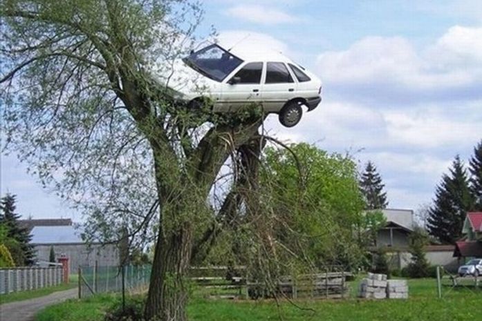 Vizinhos colocam carro de mau motorista no topo de uma árvore