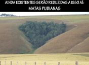 Matas Pubianas