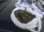 Especialistas alagoanos criticam descriminalização do uso de drogas