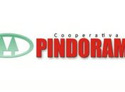 Pindorama concorre ao prêmio “Cooperativa do Ano 2012”