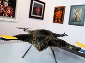 'Gato helicóptero' é atração de feira de artes na Holanda