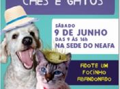 NEAFA: Encontro para Adoção de Cães e Gatos será neste sábado