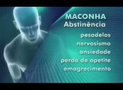 “Maconha causa tuberculose, bronquite, câncer de pulmão e esquizofrenia”, alerta pesquisa