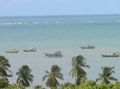 Coruripe, em Alagoas, tem banco de areia no meio do oceano