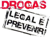 “Tráfico de drogas alimenta atividades terroristas”, alerta Secretário Geral das Nações Unidas.