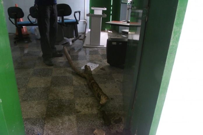 Um tronco de madeira foi utilizado para arrombar a porta