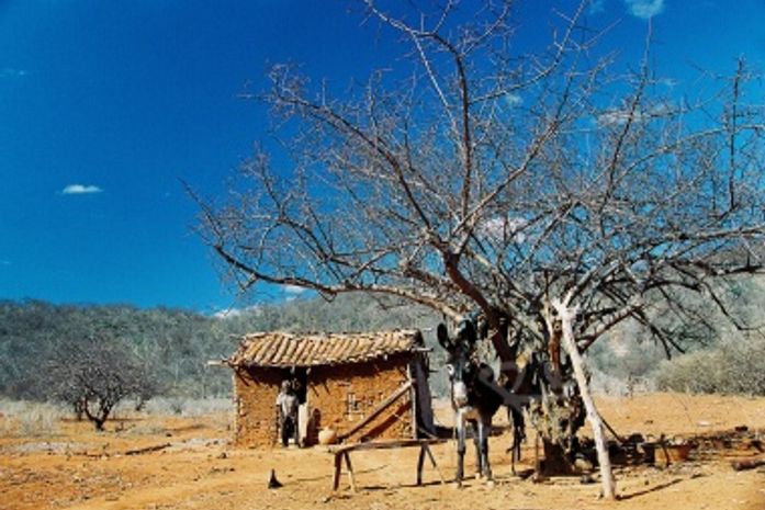 Causo minuto: Sertanejando