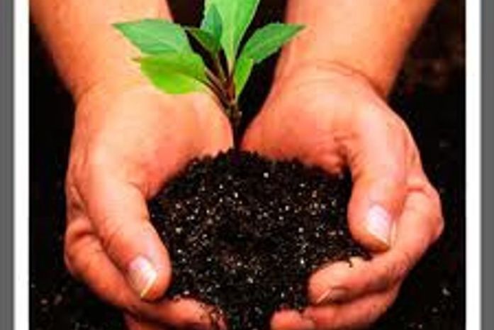 É a vez do Empreendedorimo Alagoano.