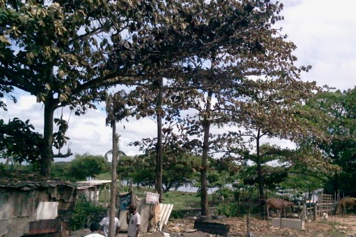 Barracos foram destruídos pelo fogo