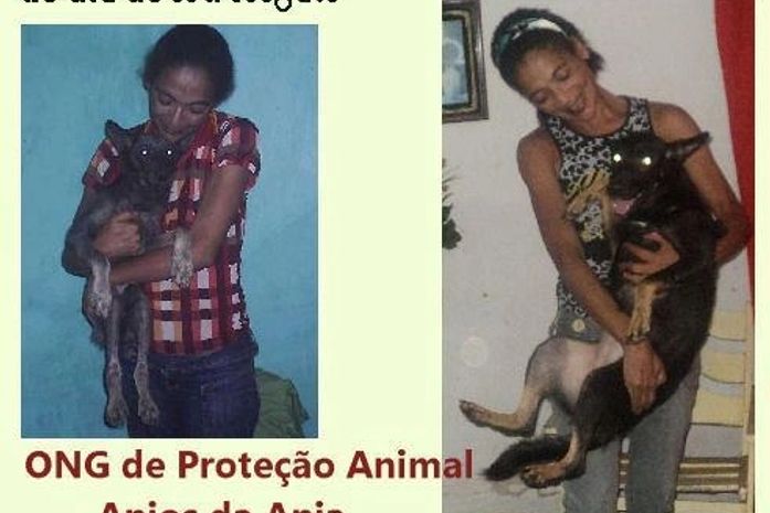Animal cuidado por Taciana Gomes