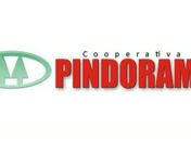 Justiça absolve Pindorama da denúncia de trabalho escravo