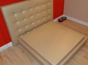 Animais de estimação ganham 'pet motel' para namorar em MG