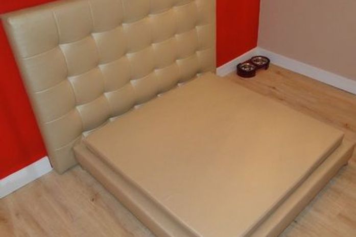 Animais de estimação ganham 'pet motel' para namorar em MG