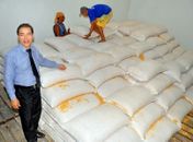 Para atender a demanda que aumentou acima do esperado, a Conab está providenciando o reforço do estoque adquirindo grãos do Centro-Oeste