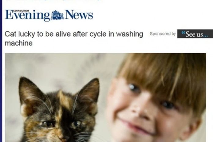 Gata chamada 'Tinker' escapou após ficar presa em máquina de lavar roupa.