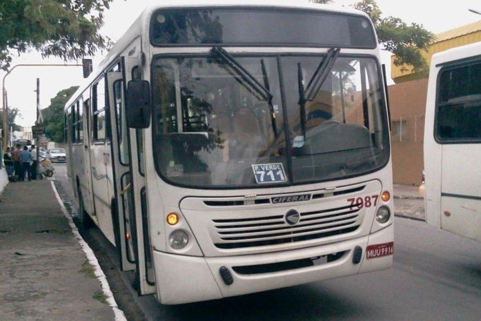 Ônibus que atropelou idosa no Poço