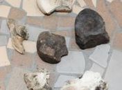 Paleontólogo analisa ossos encontrados nas terras de agricultor