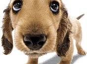 Depressão: Como Lidar?