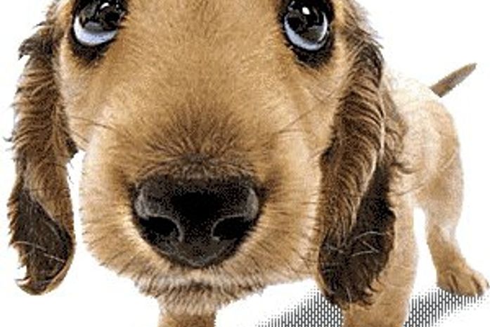 Depressão: Como Lidar?