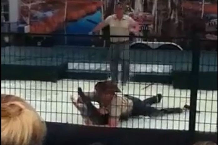 Manipulador leva mordida ao colocar braço na boca de jacaré em show