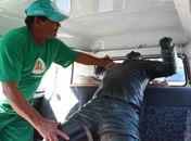 Estátua de Pelé é atropelada por caminhão desgovernado