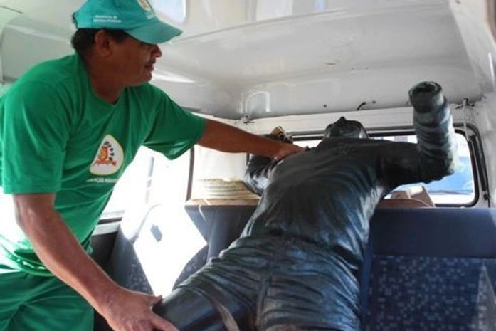 Estátua de Pelé é atropelada por caminhão desgovernado