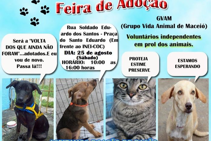 Feira de adoção de animais acontece no próximo sábado em Maceió