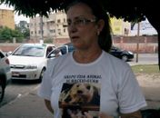 Cães e gatos: grupo realiza feira de adoção