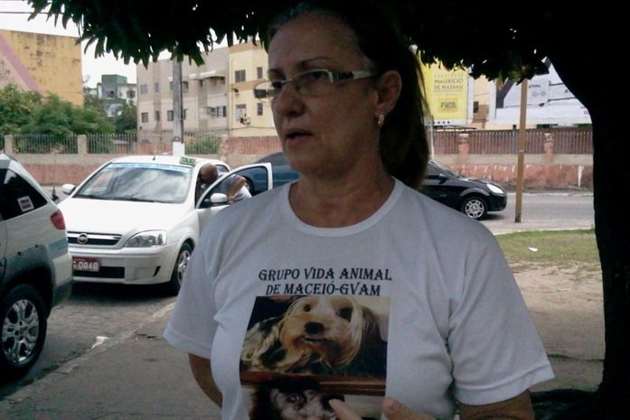 Cães e gatos: grupo realiza feira de adoção